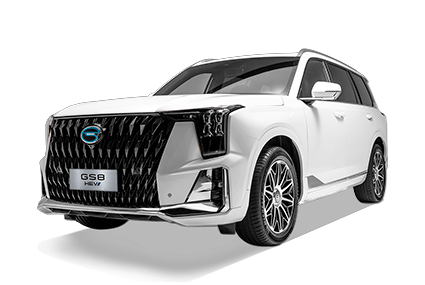 GS8 HEV - GAC Del Valle in Ciudad de México CDMX