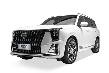  GS8 HEV - GAC Del Valle in Ciudad de México CDMX